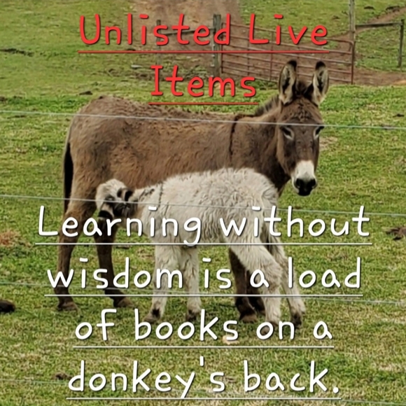 Unlisted Items - Picture 1 of 1